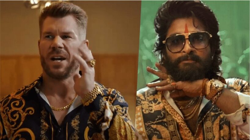 David Warner In Pushpa 2