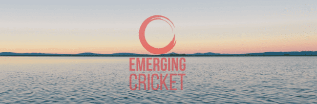 The Emerging Cricket Podcast