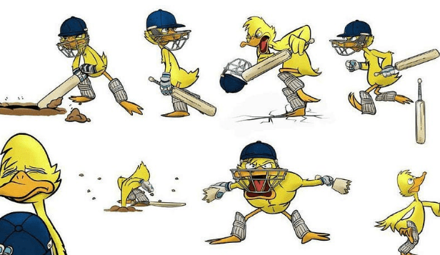 Types Of Ducks In Cricket Types Of Ducks In Cricket