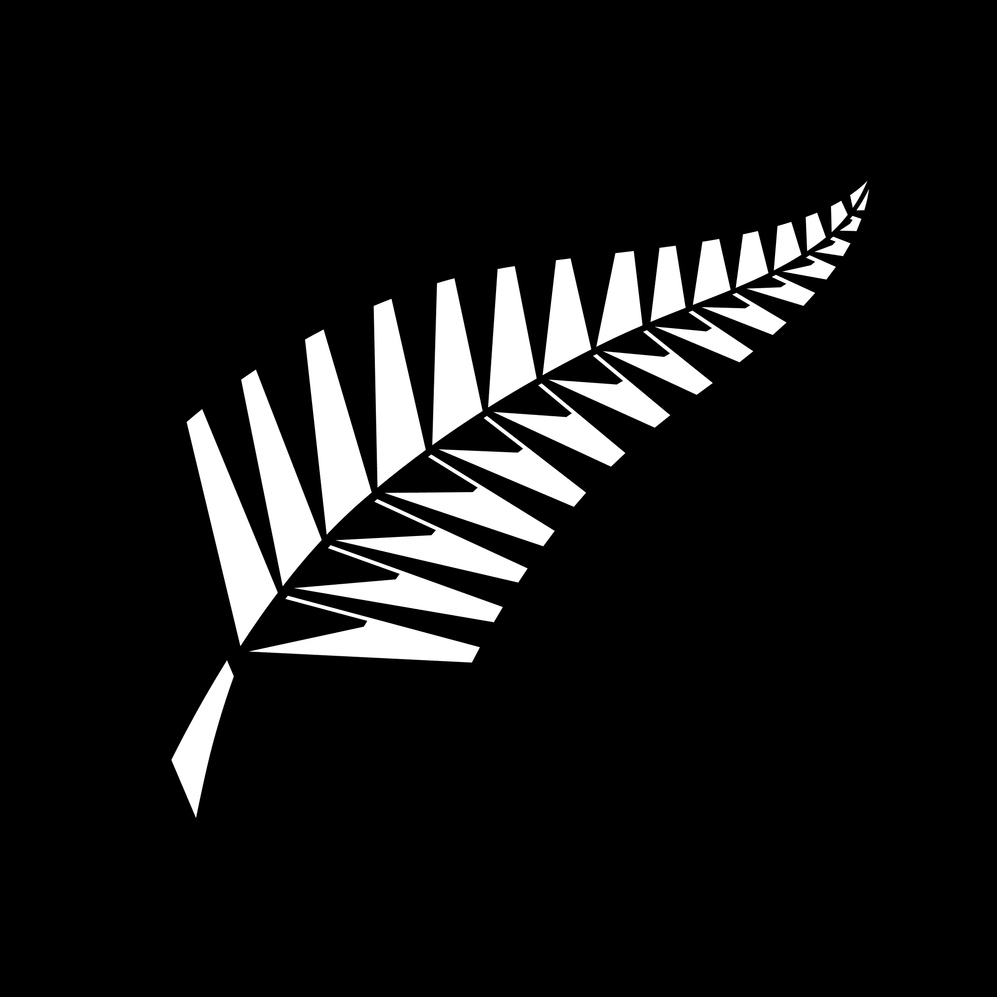 New Zealand Logo